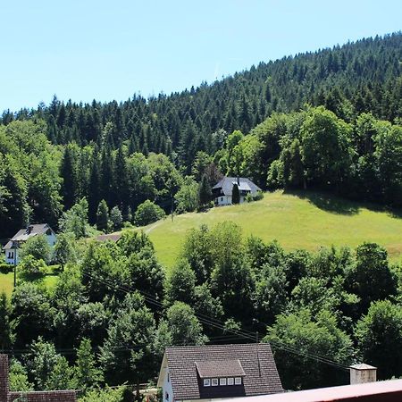 Ferienwohnung Schwarzwaldblick Bad Rippoldsau-Schapbach Exterior photo