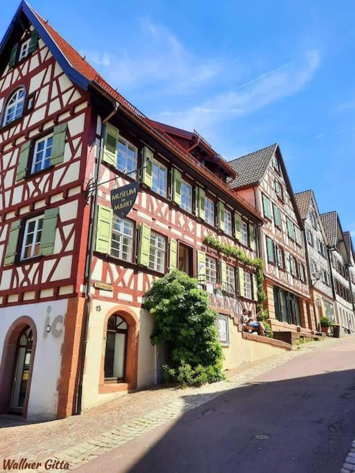 Ferienwohnung Schwarzwaldblick Bad Rippoldsau-Schapbach Exterior photo
