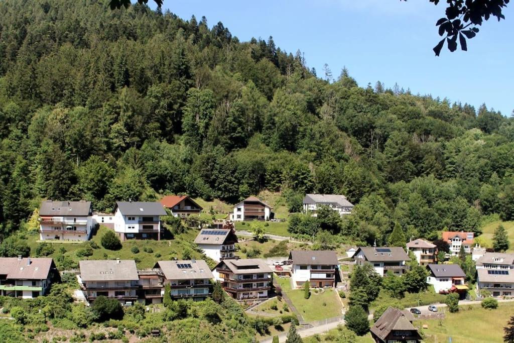 Ferienwohnung Schwarzwaldblick Bad Rippoldsau-Schapbach Exterior photo