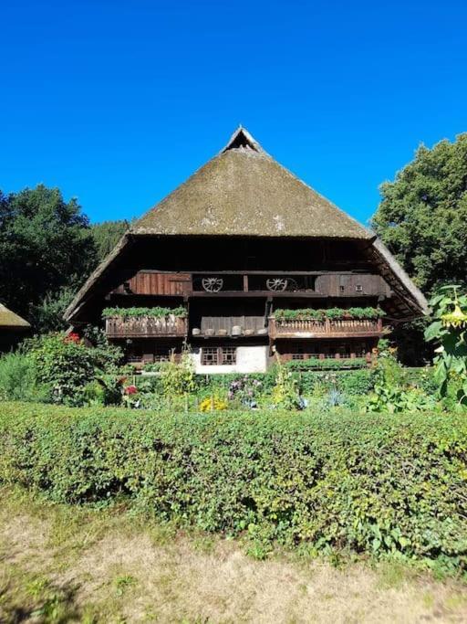 Ferienwohnung Schwarzwaldblick Bad Rippoldsau-Schapbach Exterior photo