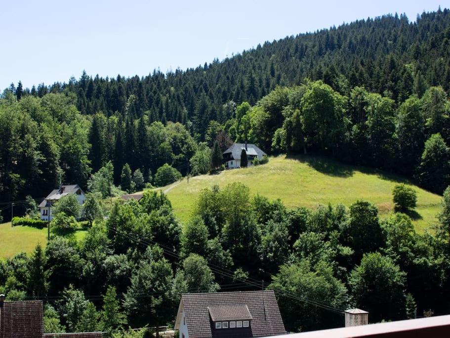 Ferienwohnung Schwarzwaldblick Bad Rippoldsau-Schapbach Exterior photo