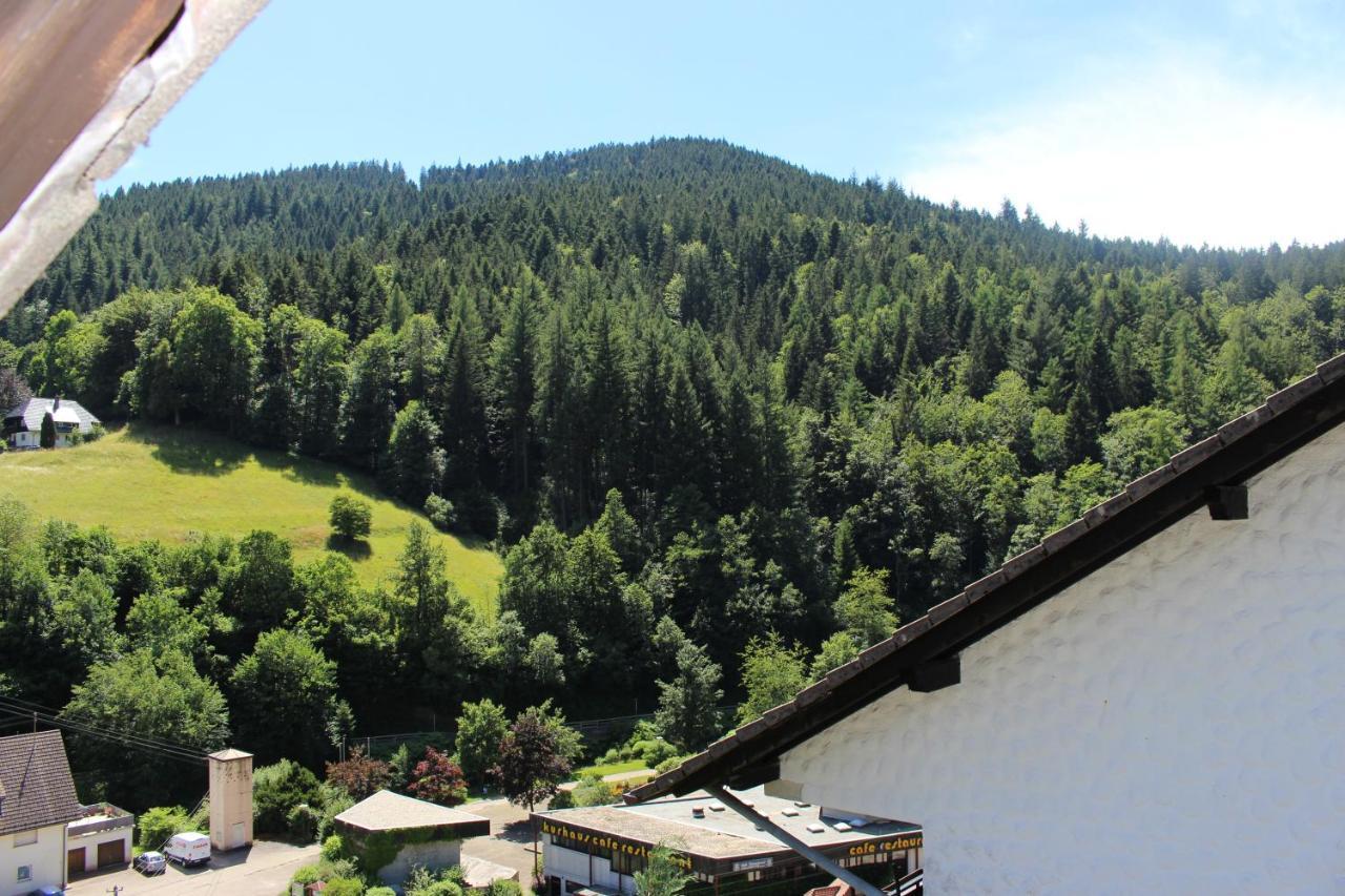 Ferienwohnung Schwarzwaldblick Bad Rippoldsau-Schapbach Exterior photo