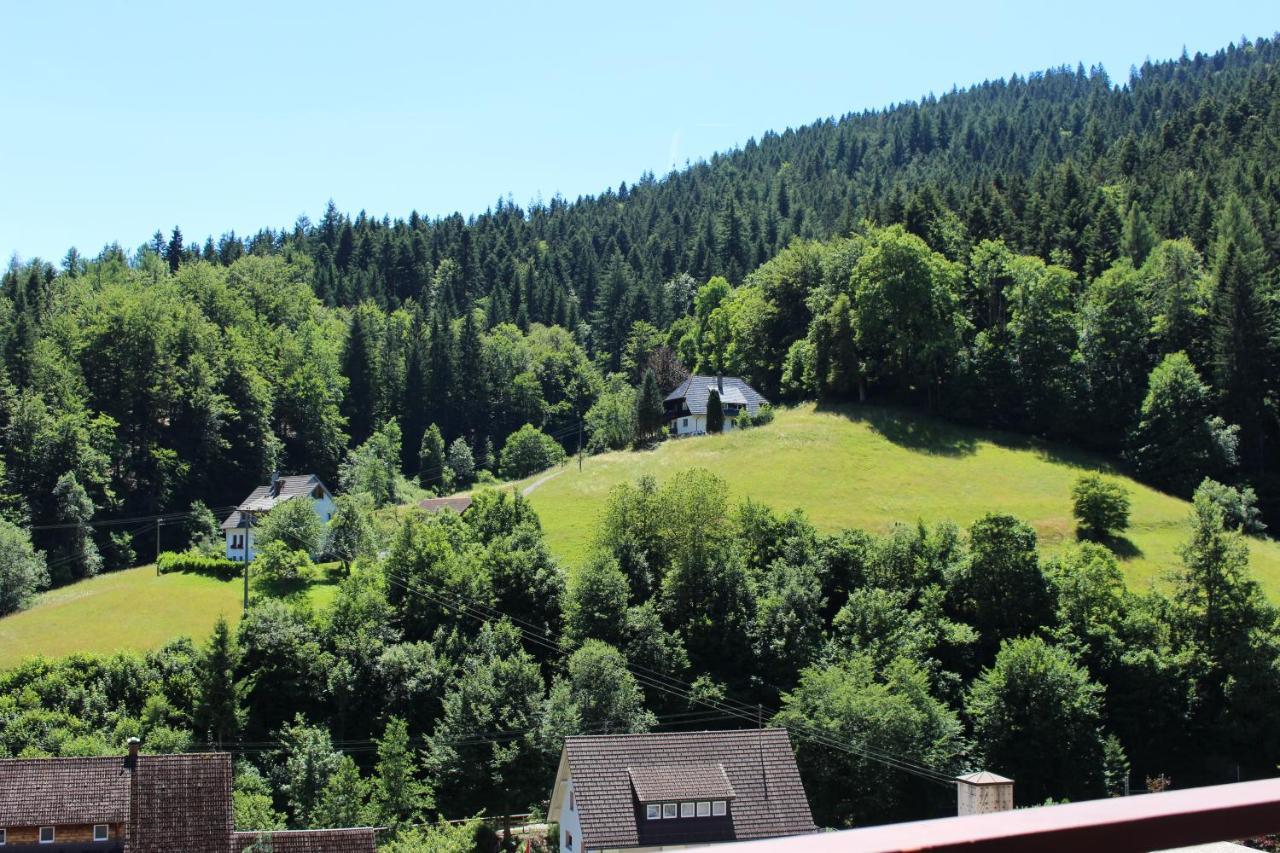Ferienwohnung Schwarzwaldblick Bad Rippoldsau-Schapbach Exterior photo